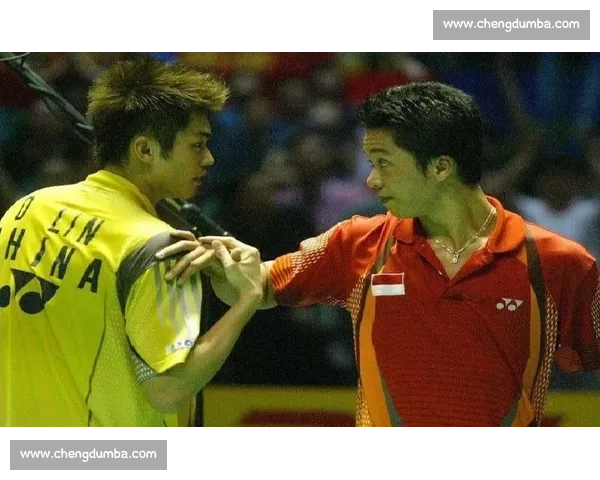 从林丹到安塞龙的时代交锋见证羽坛王者更迭的关键时刻与传奇